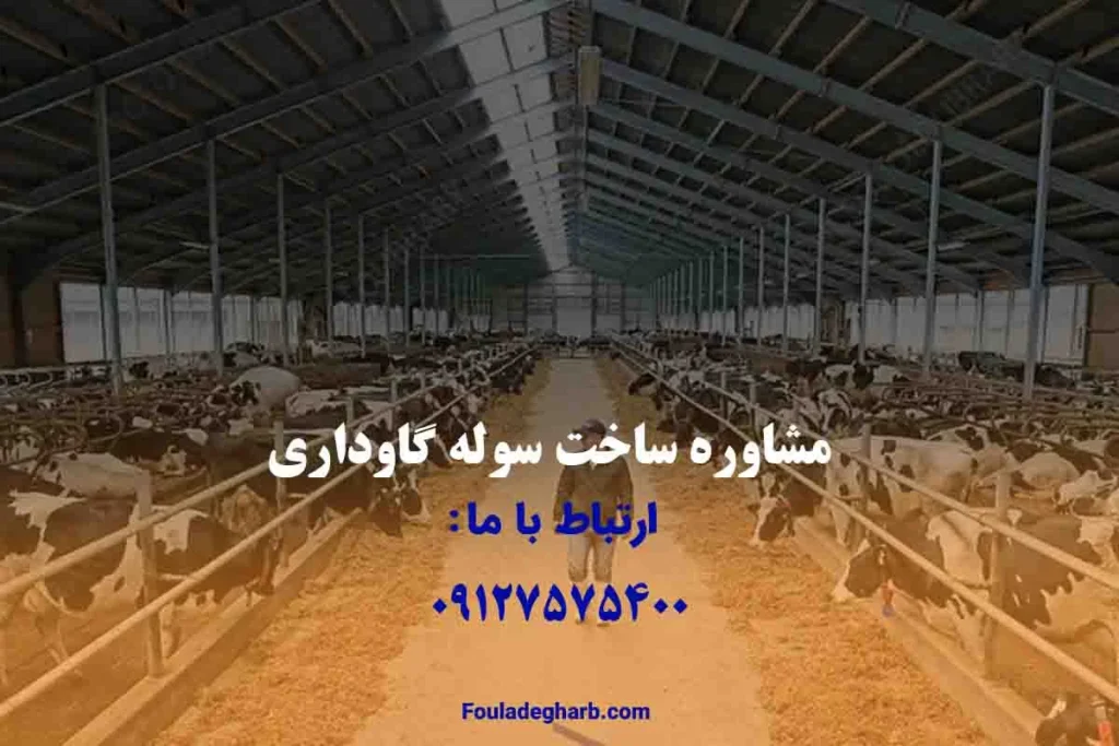 ساخت سوله گاوداری